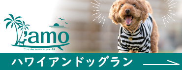 ハワイアンドッグサロン amo